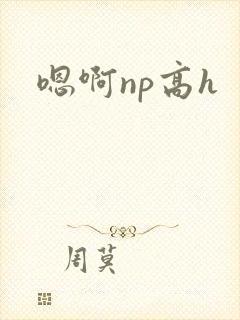 嗯啊np高h封面