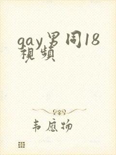 gay男同18视频