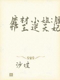 废材小姐:腹黑邪王逆天妃 叶轻轻