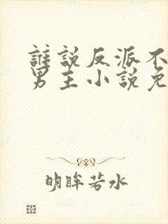 谁说反派不能当男主小说免费