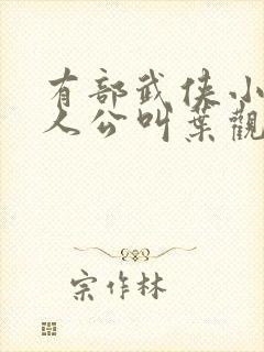 有部武侠小说主人公叫叶观的小说