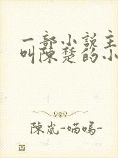 一部小说主人公叫陈楚的小说