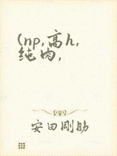(np,高h,纯肉,
