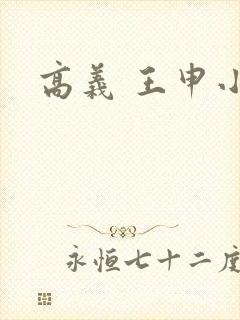 高义 王申小说