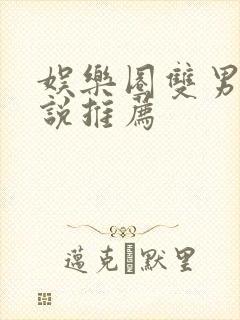 娱乐圈双男主小说推荐封面