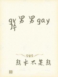 gv男男gay片