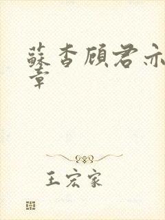 苏杳顾君亦第5章
