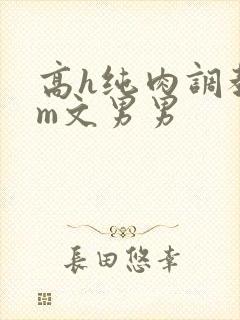 高h纯肉调教sm文男男封面