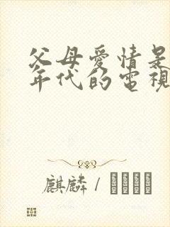 父母爱情是哪个年代的电视剧
