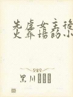 先虐女主后追妻火葬场的小说古言封面