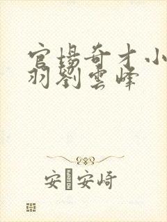官场奇才小说陆羽刘云峰