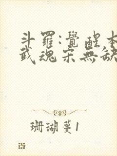 斗罗:觉醒本体武魂宋无缺