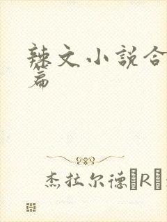 辣文小说合集短篇