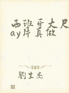 西班牙大尺度gay片真做封面