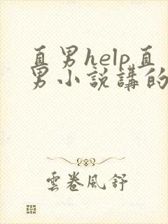 直男help直男小说讲的什么