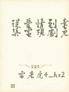 从爱情到幸福全集电视剧免费观看封面