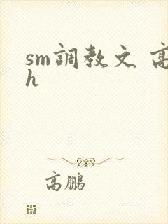 sm调教文 高h封面