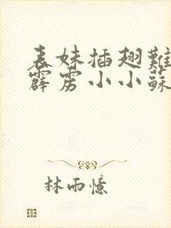 表妹插翅难飞 霹雳小小苏笔趣阁