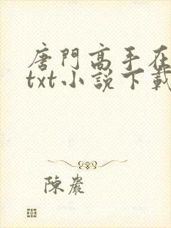 唐门高手在异世txt小说下载
