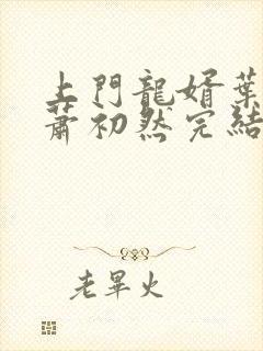 上门龙婿叶辰,萧初然完结版封面
