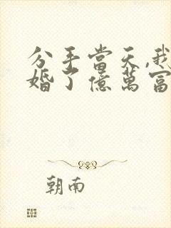 分手当天,我闪婚了亿万富豪正版