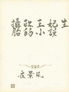 摄政王妃生三胞胎的小说封面