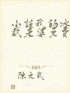 小说我的冰山总裁老婆免费阅读