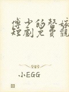 傅少的替嫁新娘短剧免费观看封面