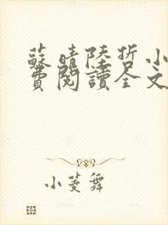 苏晴陆哲小说免费阅读全文