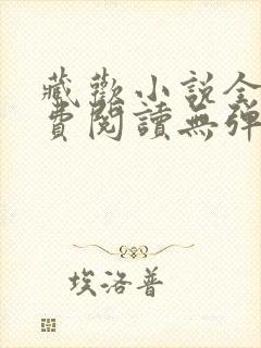 藏欢小说全文免费阅读无弹窗