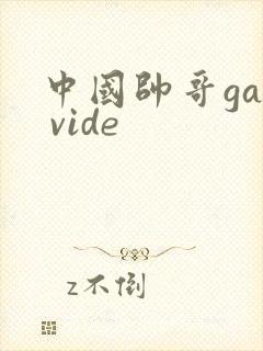 中国帅哥gay vide
