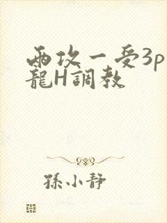 两攻一受3p双龙H调教