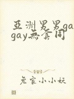 亚洲男男gaygay无套同