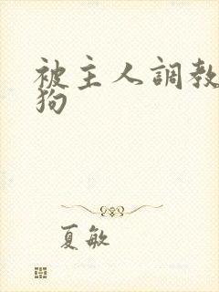 被主人调教成母狗