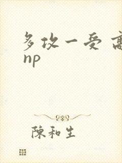 多攻一受 高h np