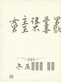 女主很爱男主但男主不喜欢她的小说封面