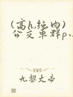 (高h,纯肉)公交车群p小说