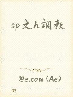 sp文h调教