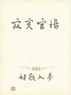 寂寞官场