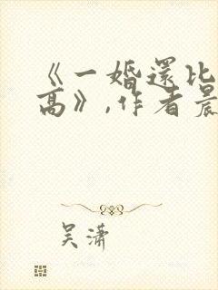 《一婚还比一婚高》,作者晨雾的光