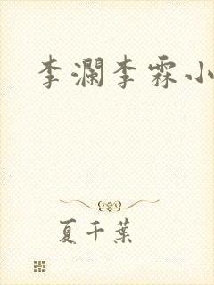 李澜李霖小说