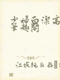 少妇白洁高义传笔趣阁