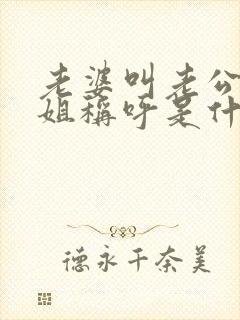 老婆叫老公的姐姐称呼是什么