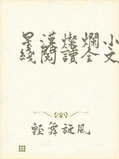 星汉灿烂小说在线阅读全文免费封面