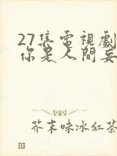 27集电视剧爱你是人间妄想免费看全集