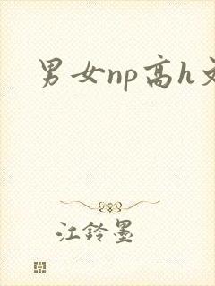 男女np高h文封面
