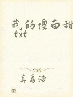 我的傻白甜老婆 txt封面