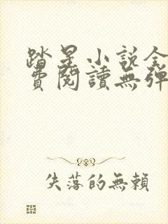 踏星小说全文免费阅读无弹窗