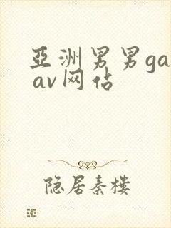 亚洲男男gay av网站