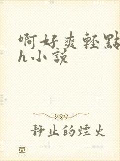 啊好爽轻点啊嗯h小说